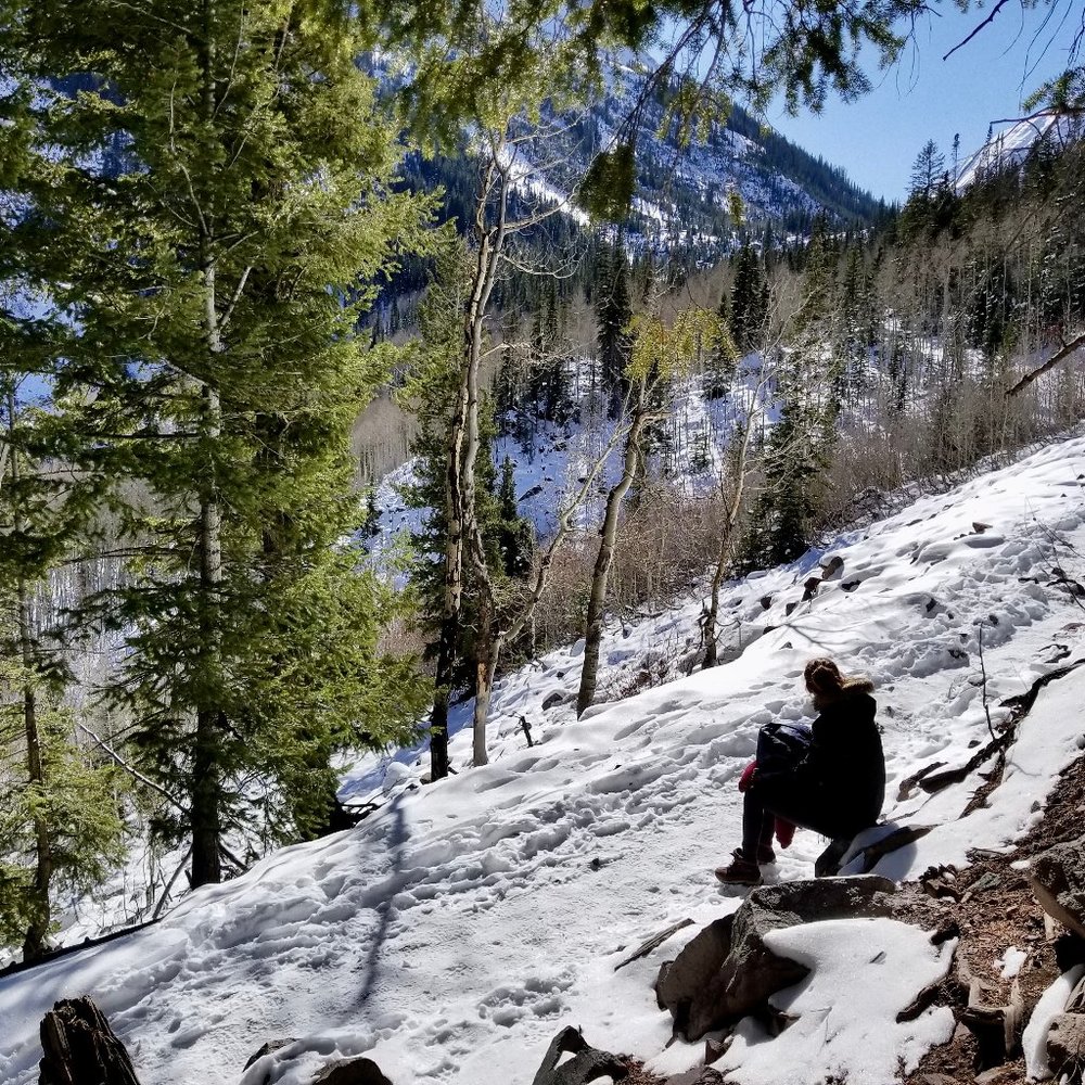 Meet your Posher, Audrey